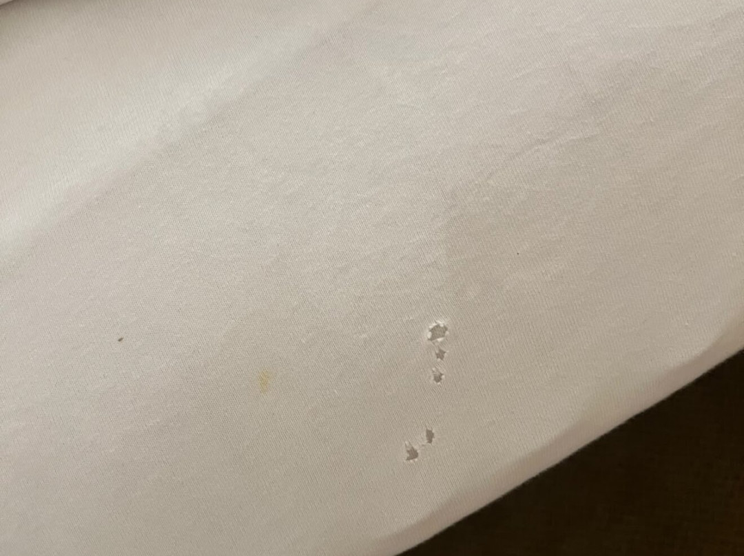 福肯斯坦纳水晶酒店 l 四星高级主图