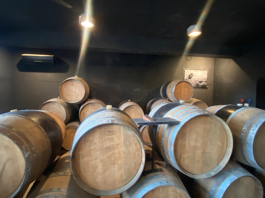 Estampa Winery-Palmilla必去景点
