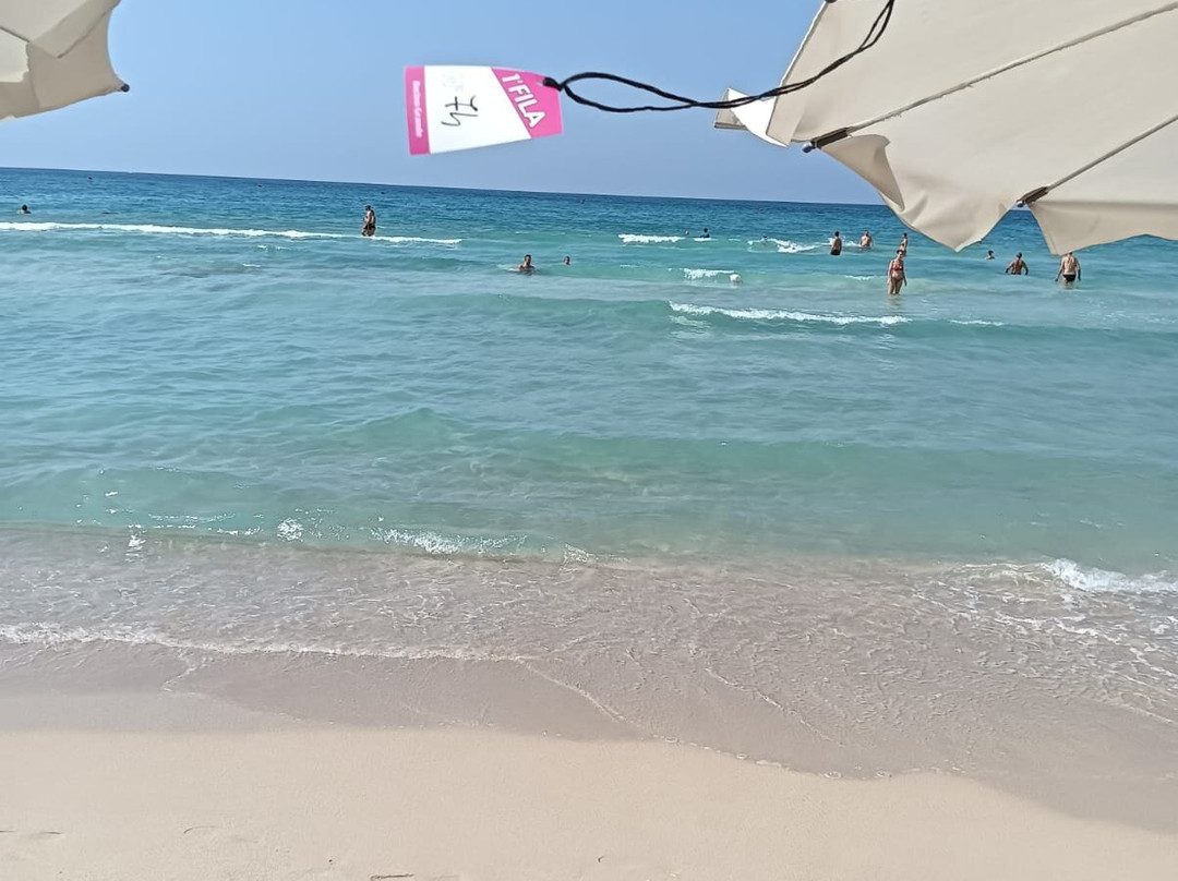 Lido Bacino Grande主图