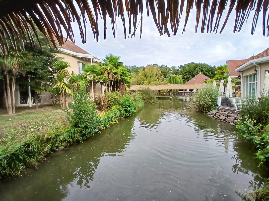 Les Jardins de Beauval主图