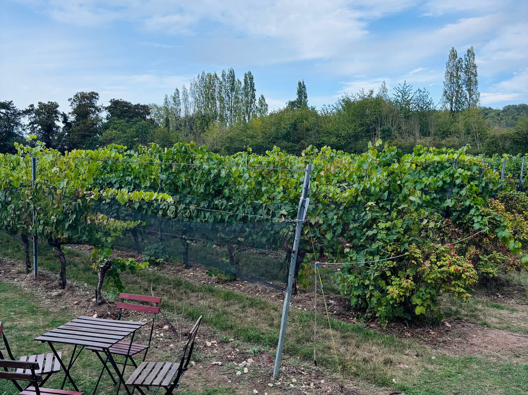 The Mount Vineyard-Shoreham必去景点