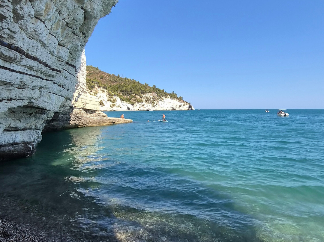 Spiaggia di Vignanotica-维耶斯泰必去景点