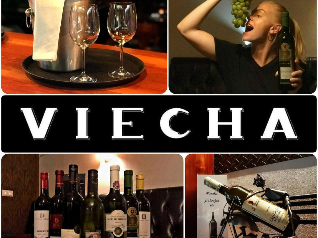 Apartmány Viecha
