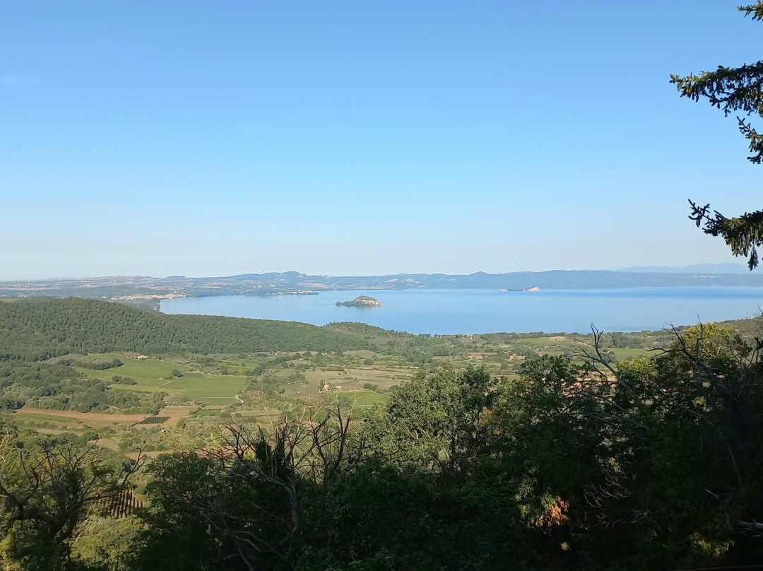 湖景丽城旅馆主图