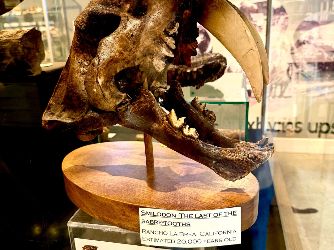 Qualicum Beach Museum-魁利克姆海滩必去景点