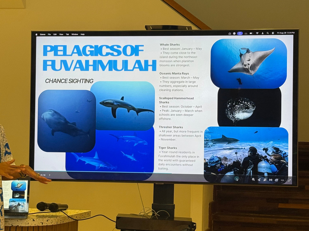 Fuvahmulah Scuba Club主图