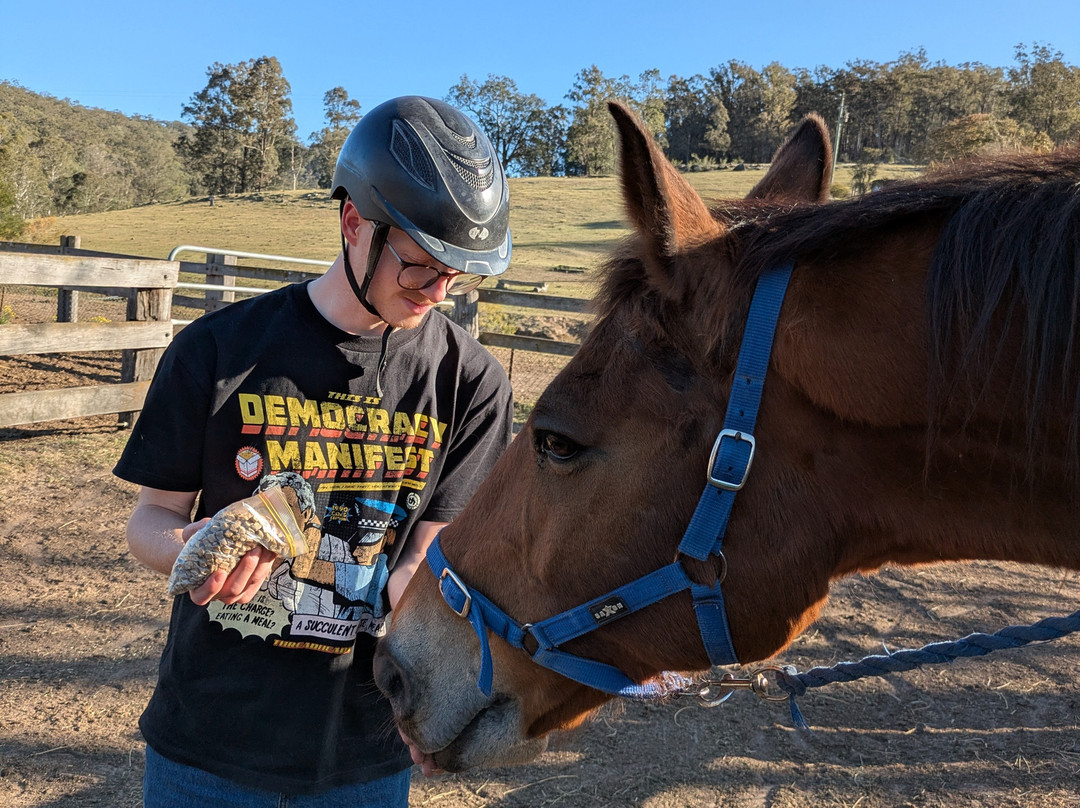 Chapman Valley Horse Riding-Howes Valley必去景点