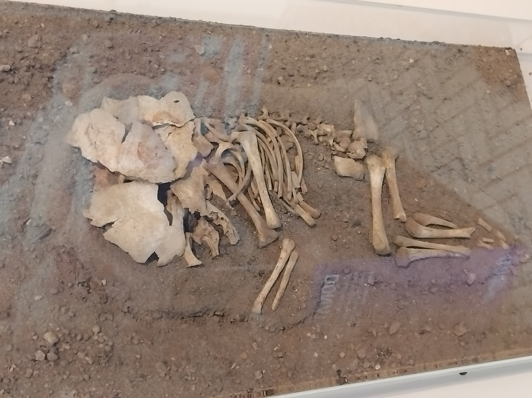 Rockbourne Roman Villa-Fordingbridge必去景点