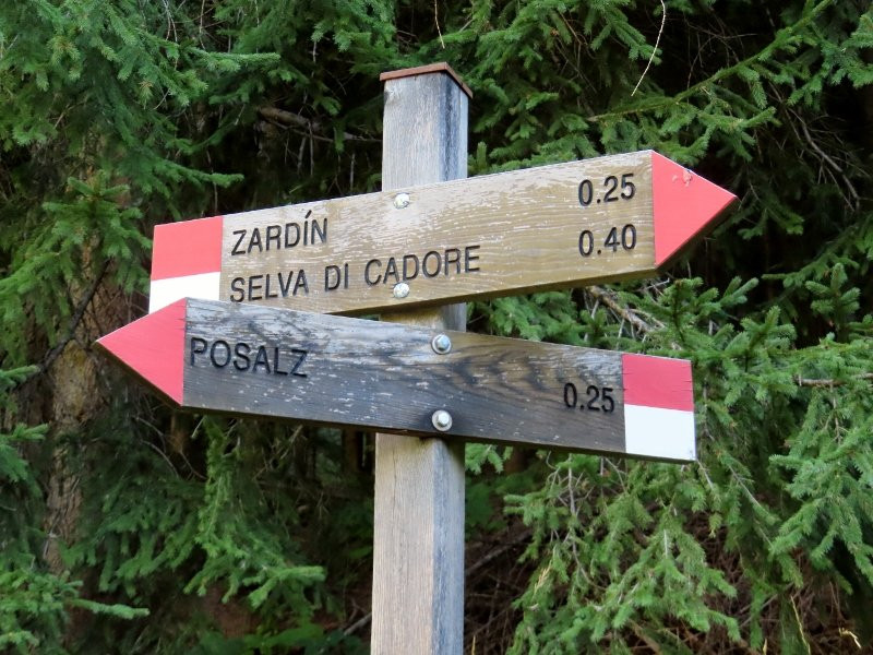 Passeggiata - Strada dei Siori-Selva di Cadore必去景点