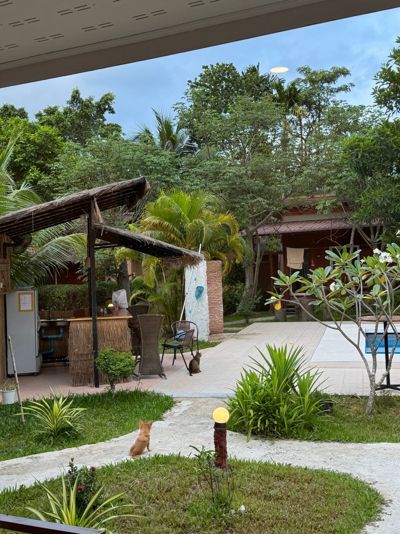 Jungle View Resort-度假村/酒店