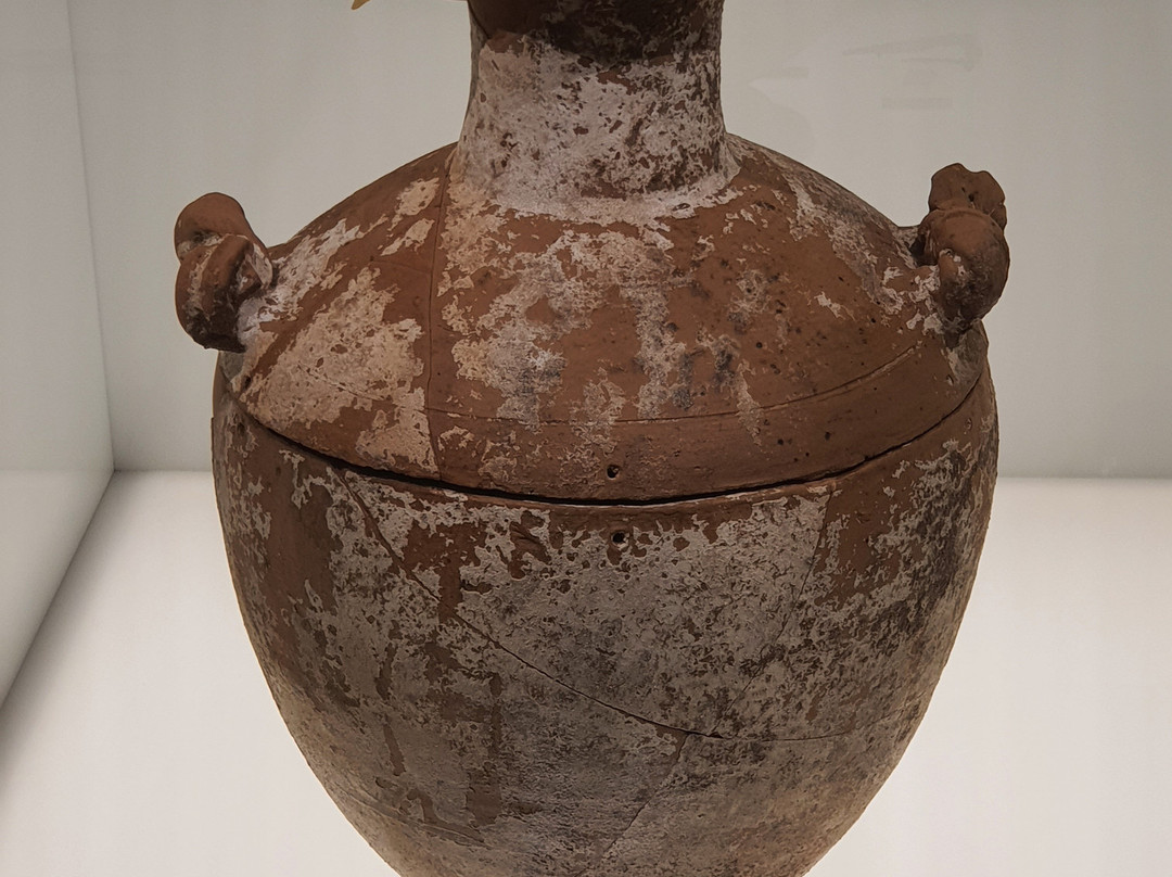 Archaeological Museum of Argos-Argos必去景点