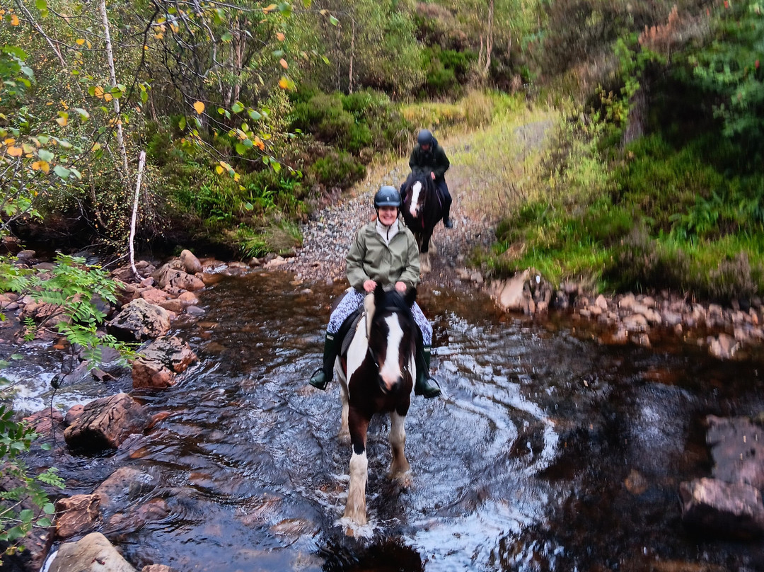 Highland Trekking And Trail Riding-Cannich必去景点
