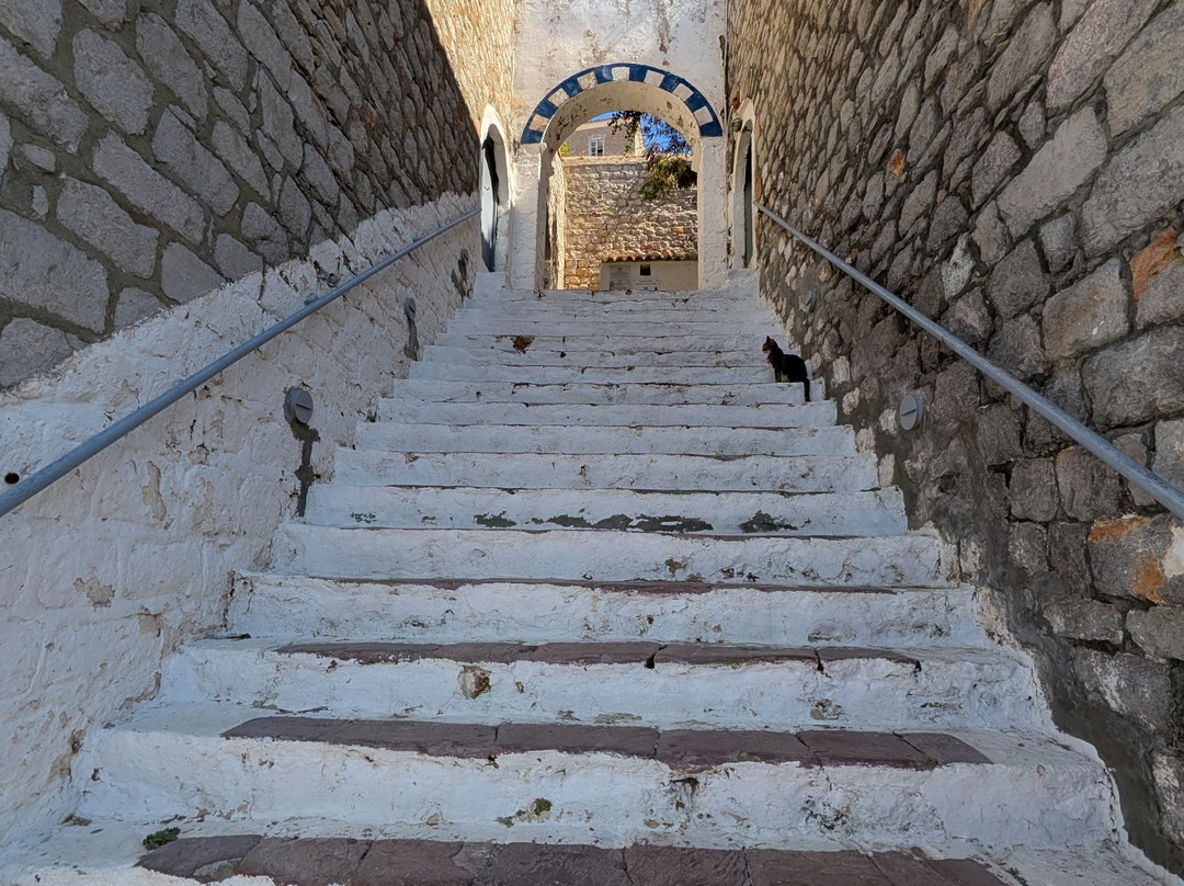 Hydra Walking Tours-Hydra Town必去景点