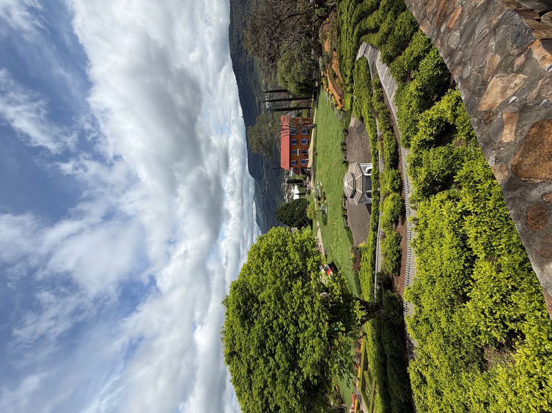 Le Jardin Parque de Lavanda-格拉玛多必去景点