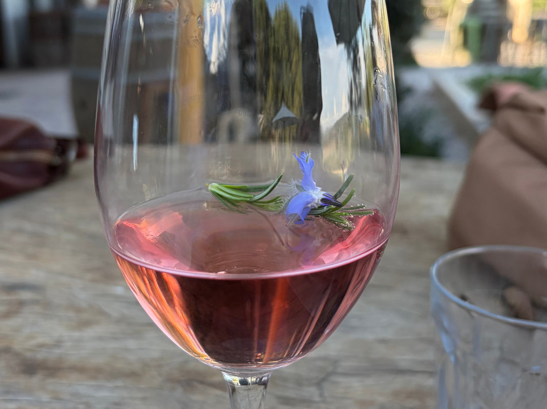 Lowe Wines-马奇必去景点