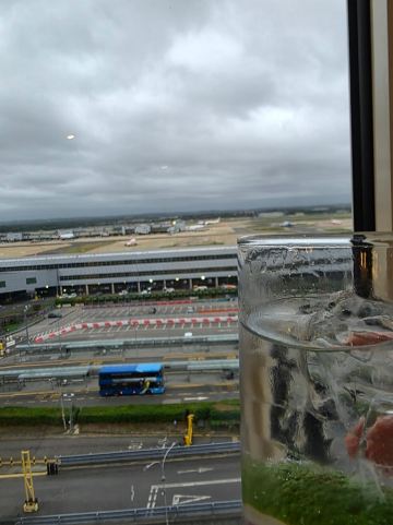 伦敦盖特威克索菲特酒店-旅行者