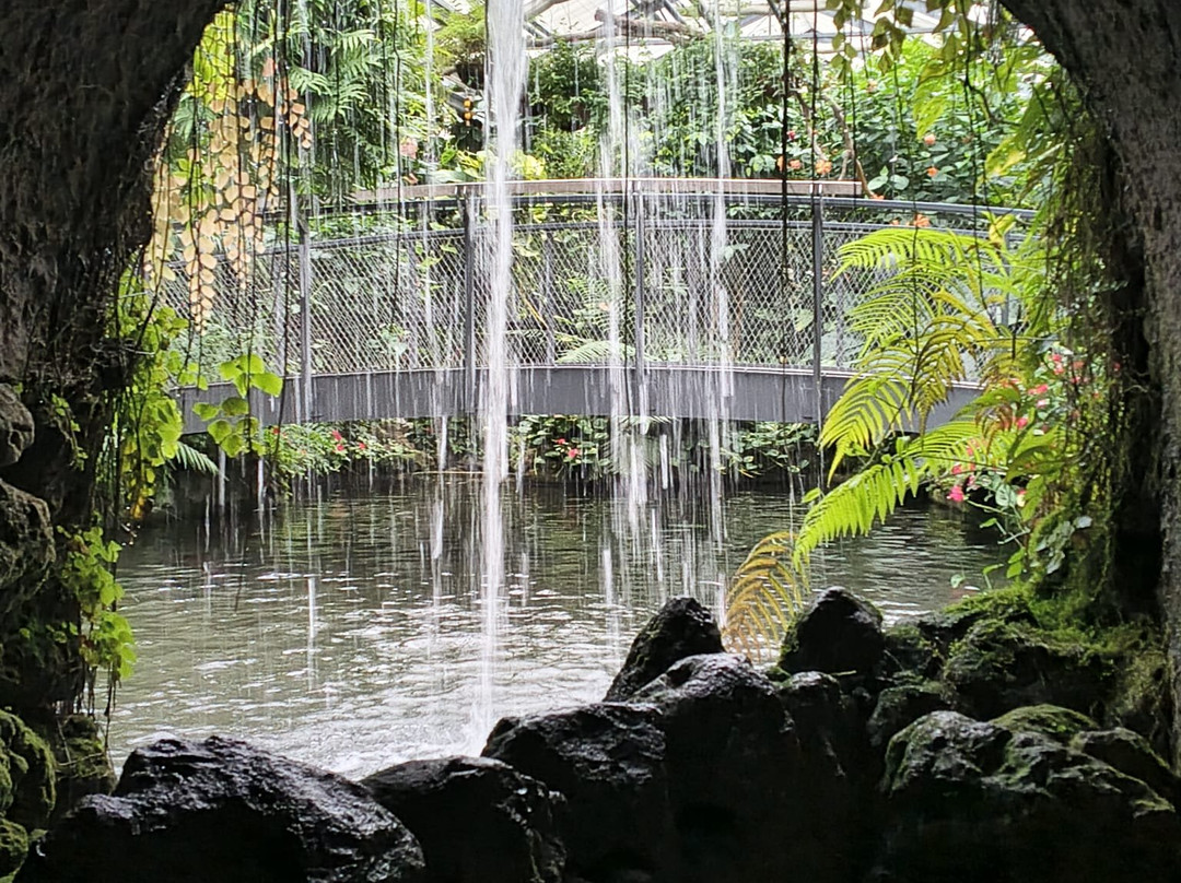 Isle of Mainau-康士坦茨必去景点