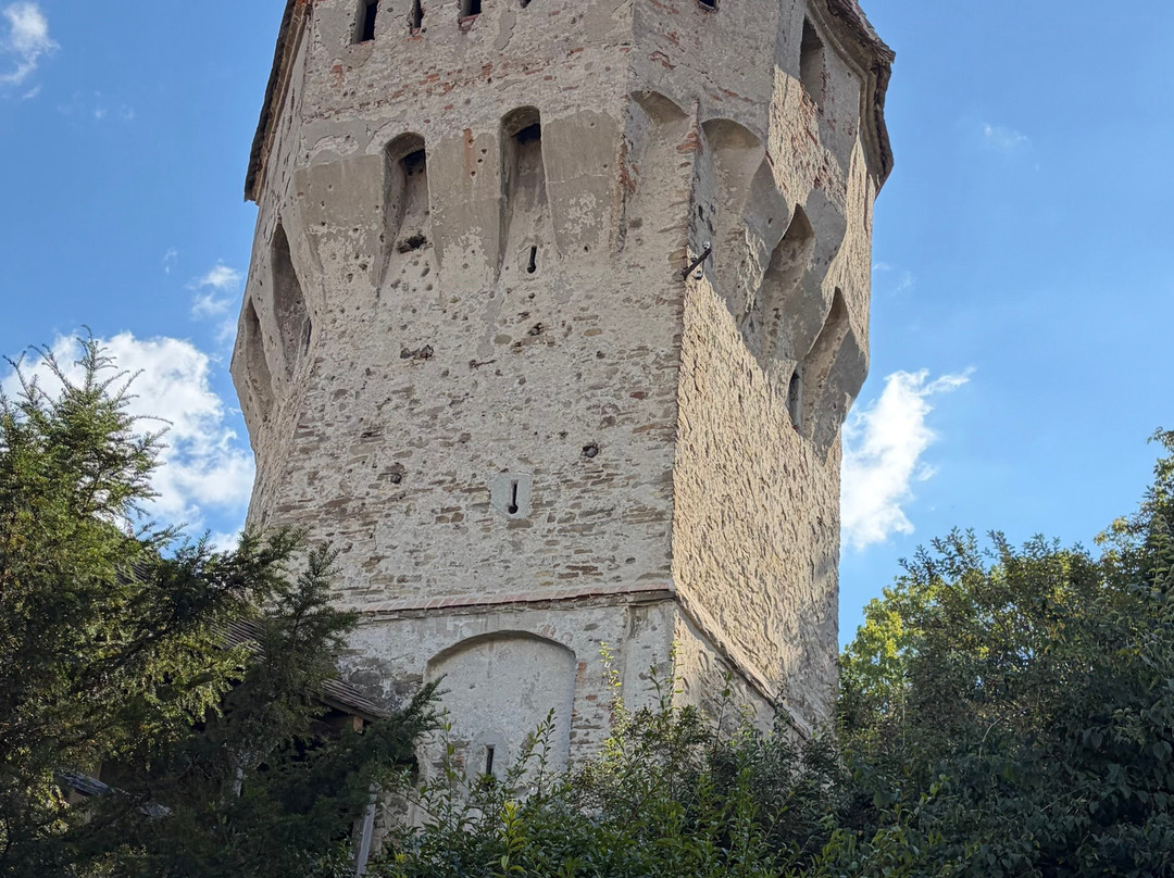 Your Guide In Transylvania - Premium Private Tours-锡吉索拉必去景点