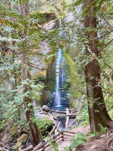 Marymere Falls-安吉利斯港必去景点