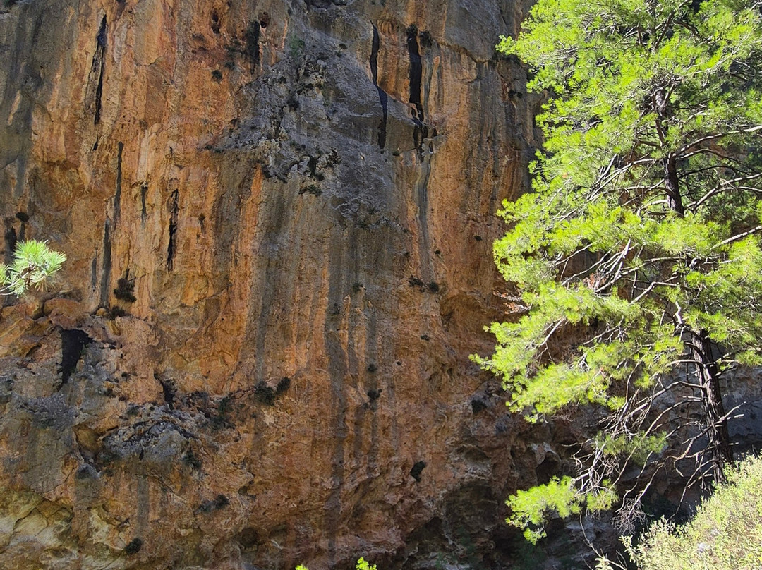 Agia Irini Gorge-Sougia必去景点