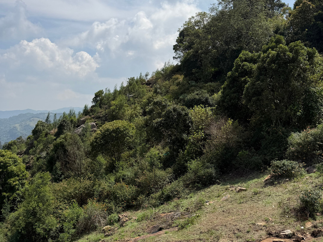 Kodanadu View Point-Kodanad必去景点