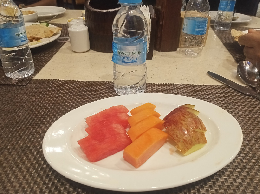乌代布尔阿南塔酒店主图