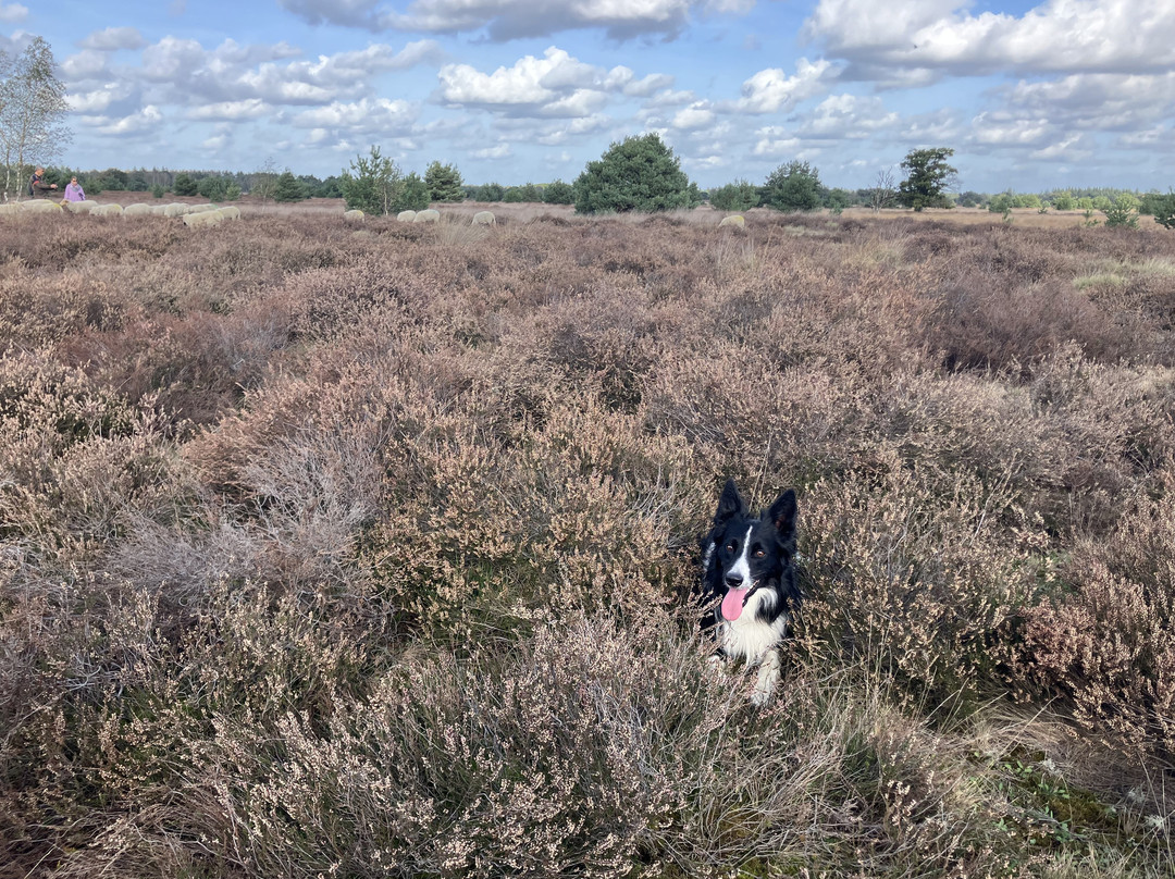 Strijdom landschapsbeheer