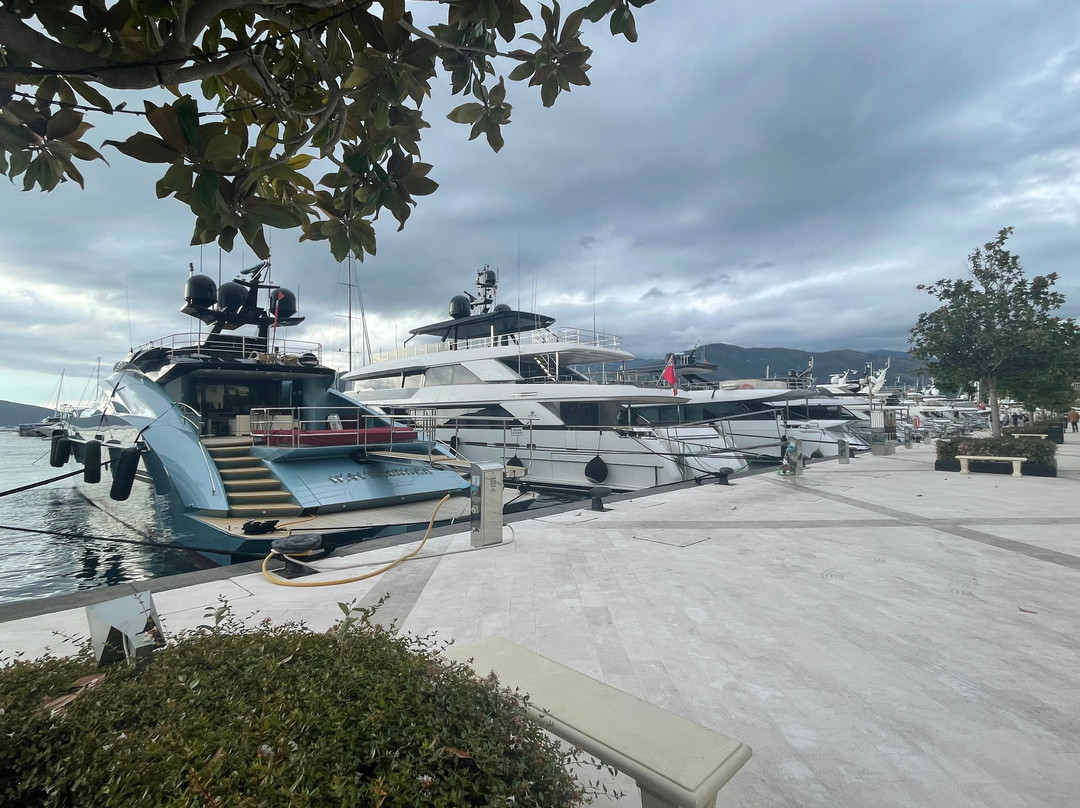 Porto Montenegro-Tivat Municipality必去景点