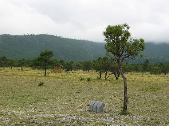 甘海子牧场-玉龙纳西族自治县必去景点
