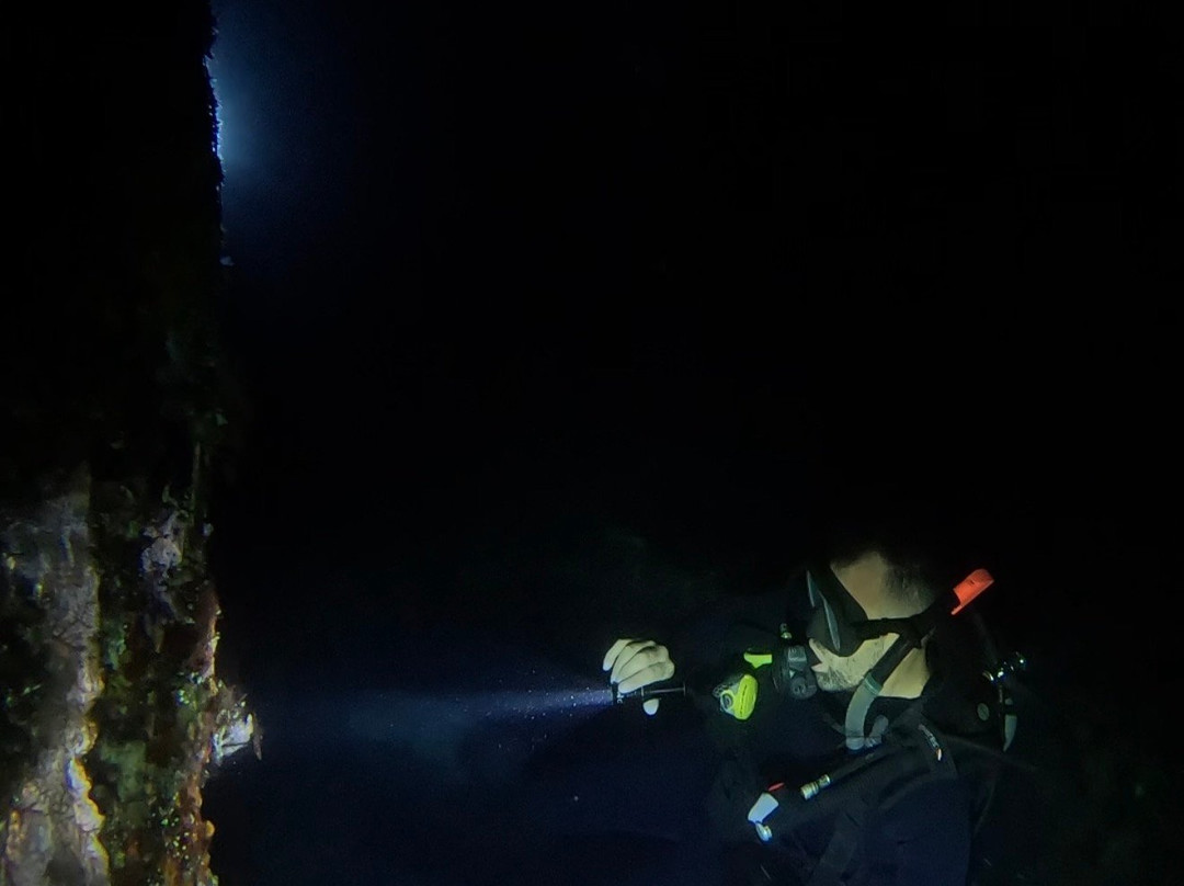 Bali Elite Scuba Team-图兰本必去景点