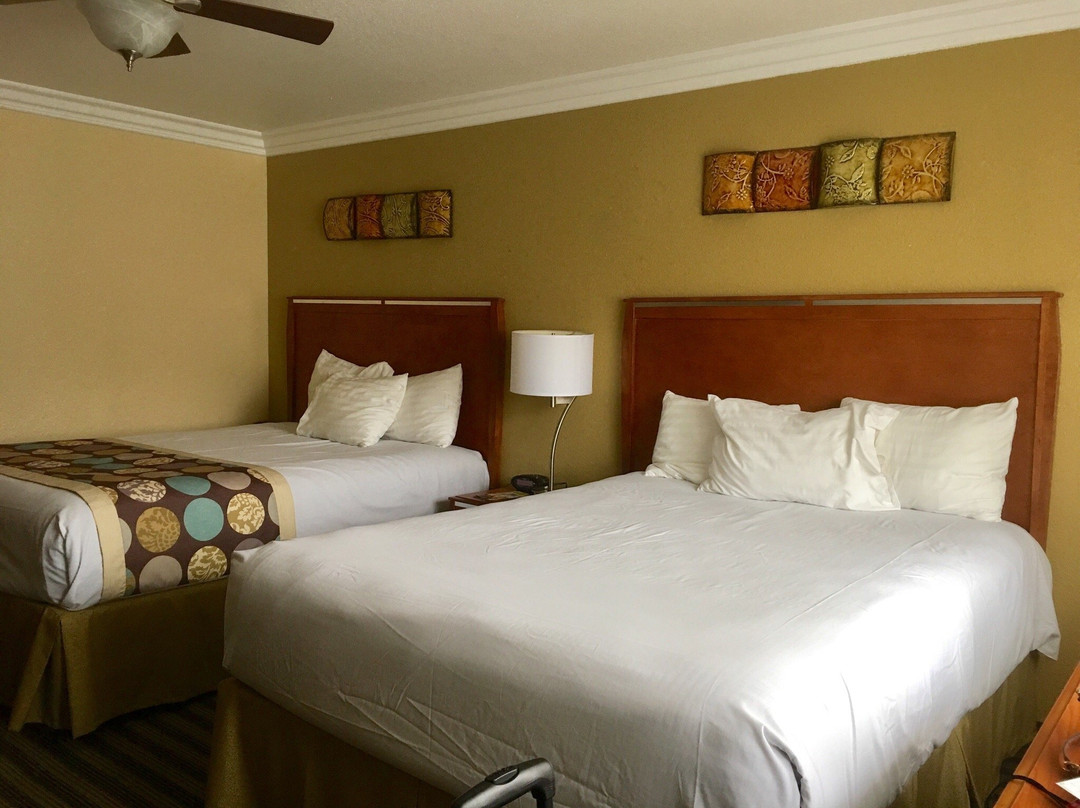 太平洋丛林镇酒店住宿-鹿天堂旅馆