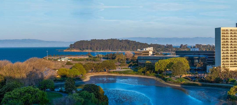 旧金山机场海湾希尔顿酒店主图