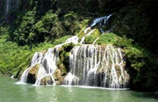 大鲵保护区-张家界市必去景点