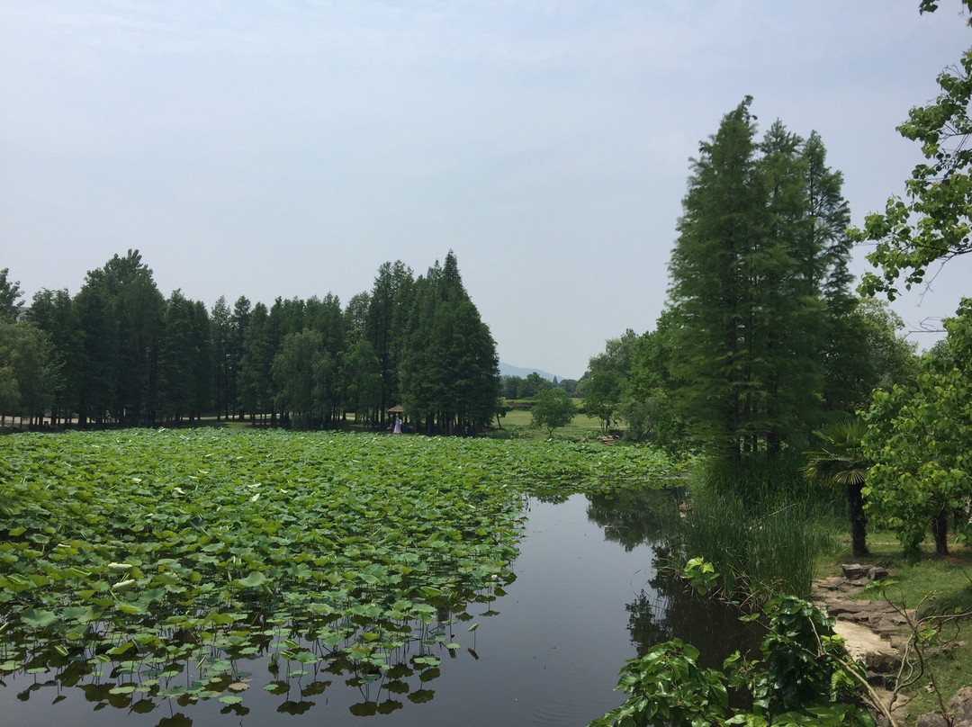 合肥植物园景点图片