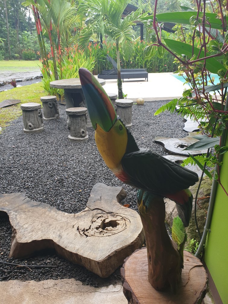 Guarumo Lodge-官方