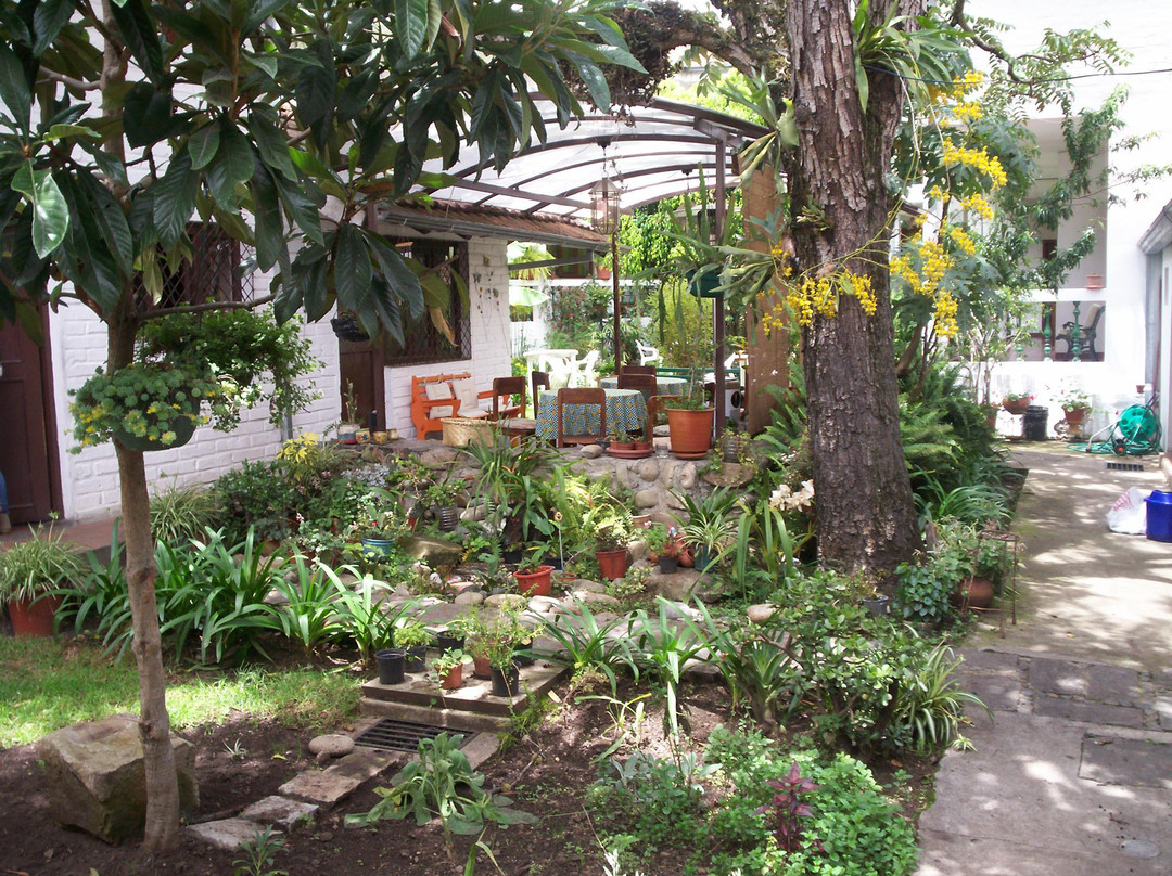 Hotel Apartamentos Otorongo