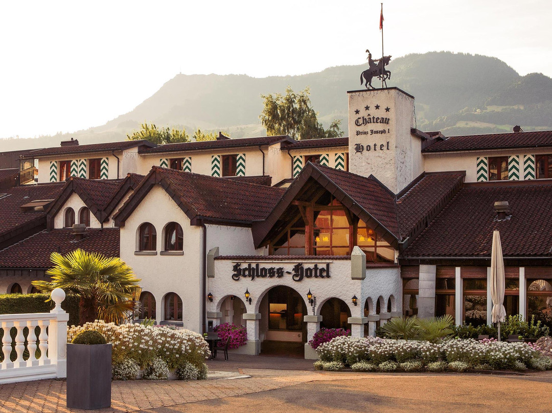 Canton of Schwyz酒店住宿-Schloss-Hotel
