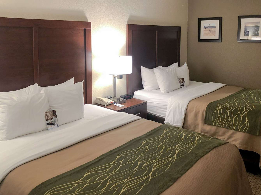 Comfort Inn Early主图