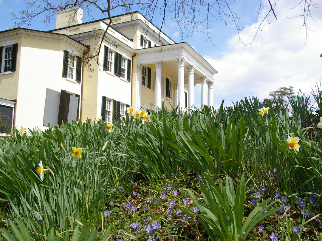 Oatlands Historic House & Gardens景点图片