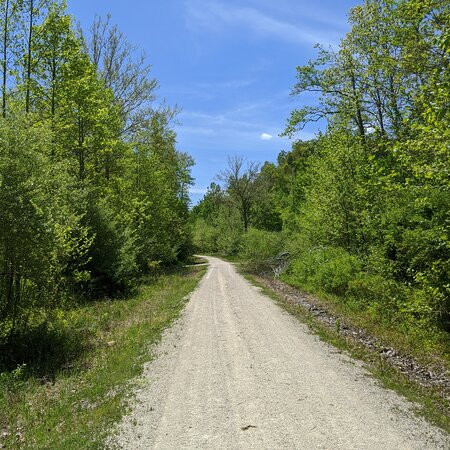 Dawkins Line Rail Trail-Swamp Branch必去景点