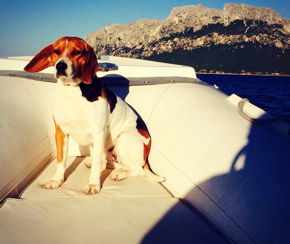 Usai Rent Boat Noleggio Gommoni Sardegna-Murta Maria必去景点
