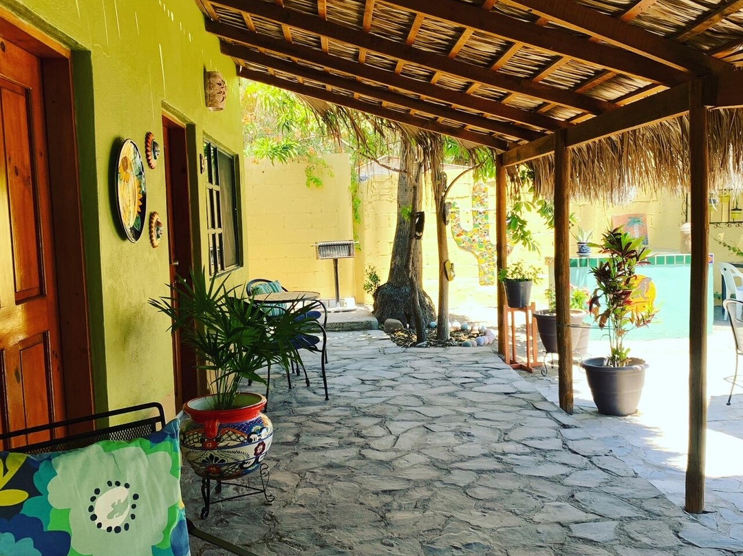 Iguana Inn