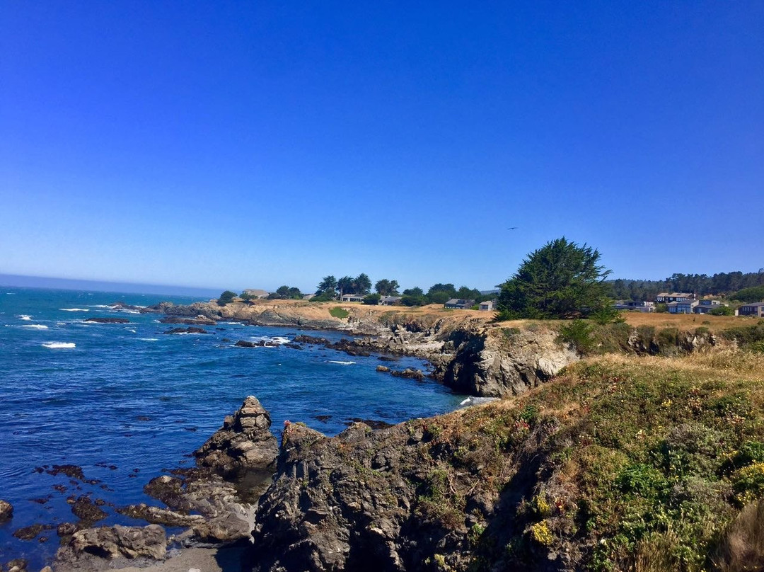 Walk On Beach Sea Ranch Access Trail景点图片