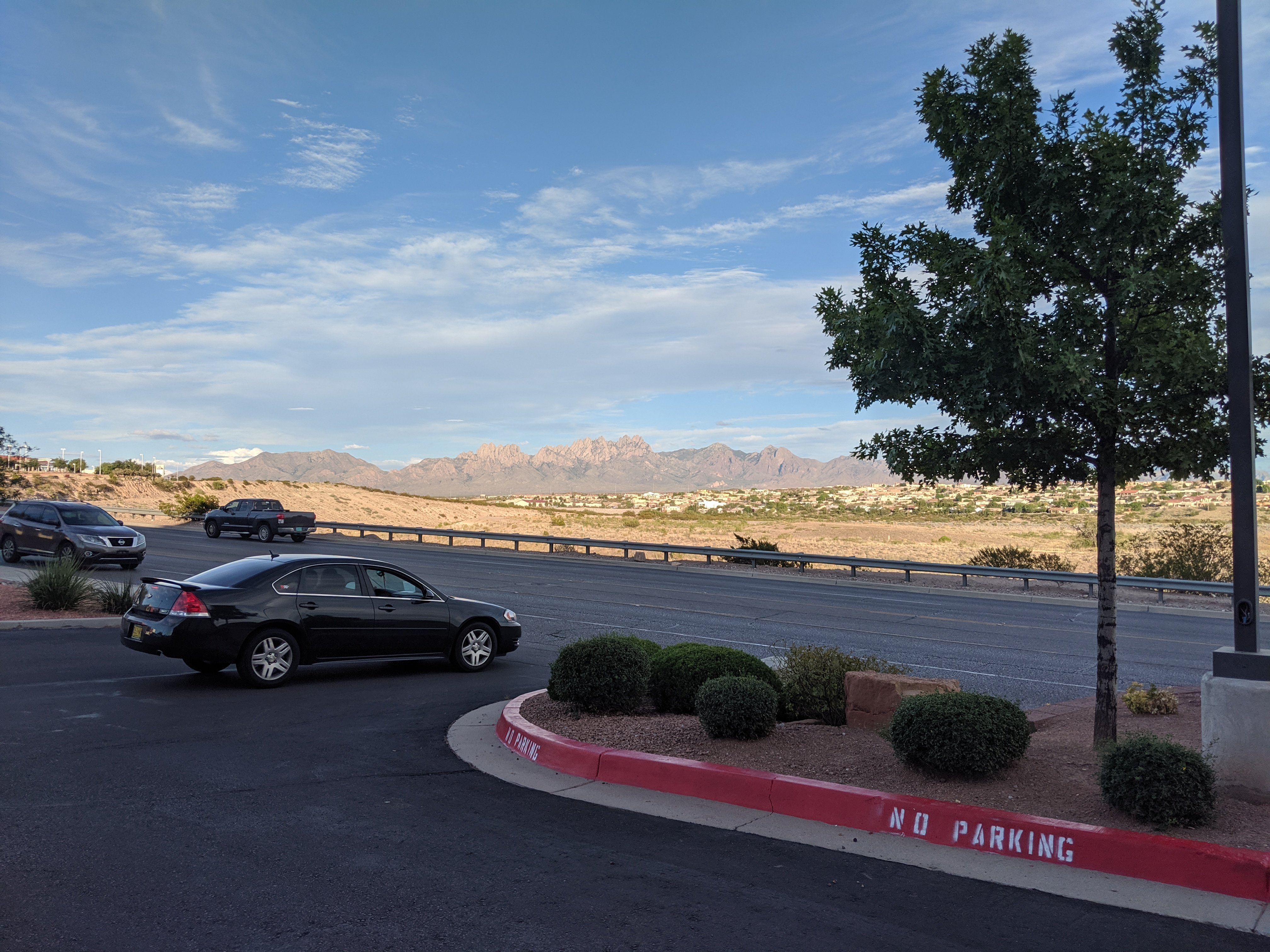 Staybridge Suites Las Cruces by IHG-官方