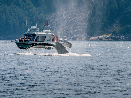 Seward Ocean Excursions-苏厄德必去景点