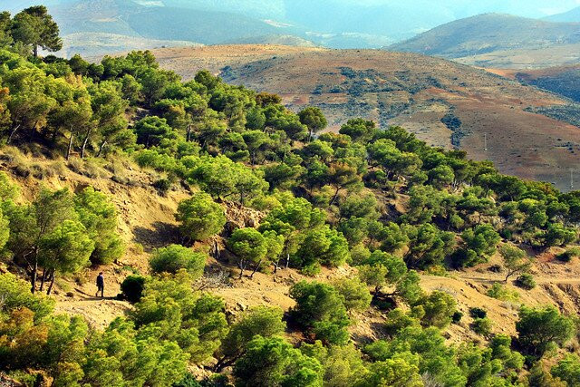 Al-Hoceima National Park景点图片