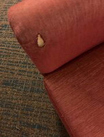 Residence Inn by Marriott Huntsville主图