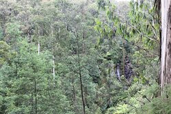 Mason Falls Picnic Ground-Kinglake必去景点