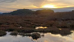 Etang de Bages-Sigean景点图片