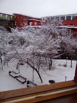 Severnaya Hotel主图